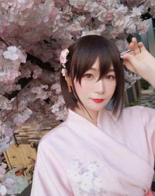 大明风华电视剧全集