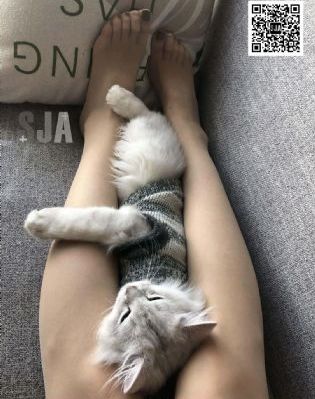 农夫色综合