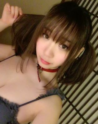 真心英雄电视剧免费播放